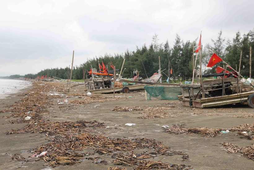 Không chỉ gây ô nhiễm môi trường biển, ảnh hưởng đến đời sống, sinh hoạt của người dân các làng biển mà ngư dân khi đưa bè mảng ra khơi cũng rất vất vả vì phương tiện đánh bắt hải sản đậu trên bờ luôn trong tình trạng bị rác thải bủa vây. (Ảnh: Xuân Tiến/TTXVN)