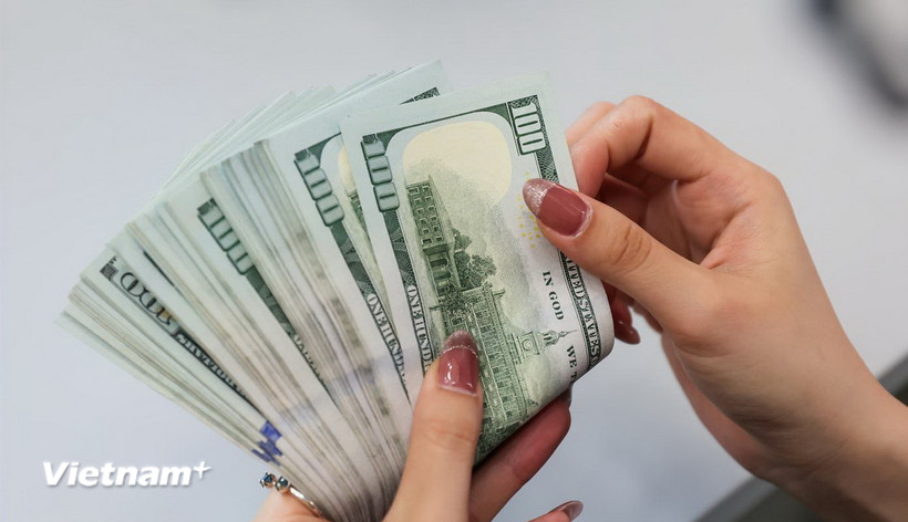 Đồng USD. (Ảnh: Vietnam+)