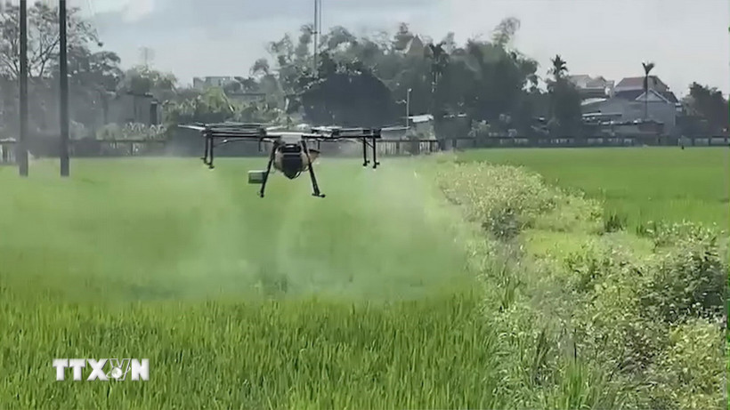 Hà Nội phát triển bền vững các vùng sản xuất nông nghiệp tập trung. (Nguồn: TTXVN)