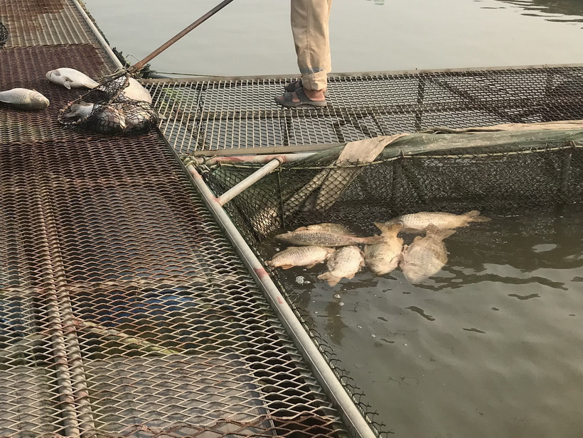 Ảnh minh họa. (Ảnh: Tiến Vĩnh/TTXVN)