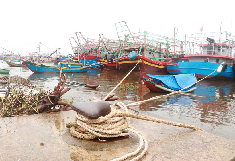 Tàu thuyền của ngư dân vào neo đậu an toàn tại khu neo đậu tránh trú. (Ảnh: Nguyên Lý/TTXVN)