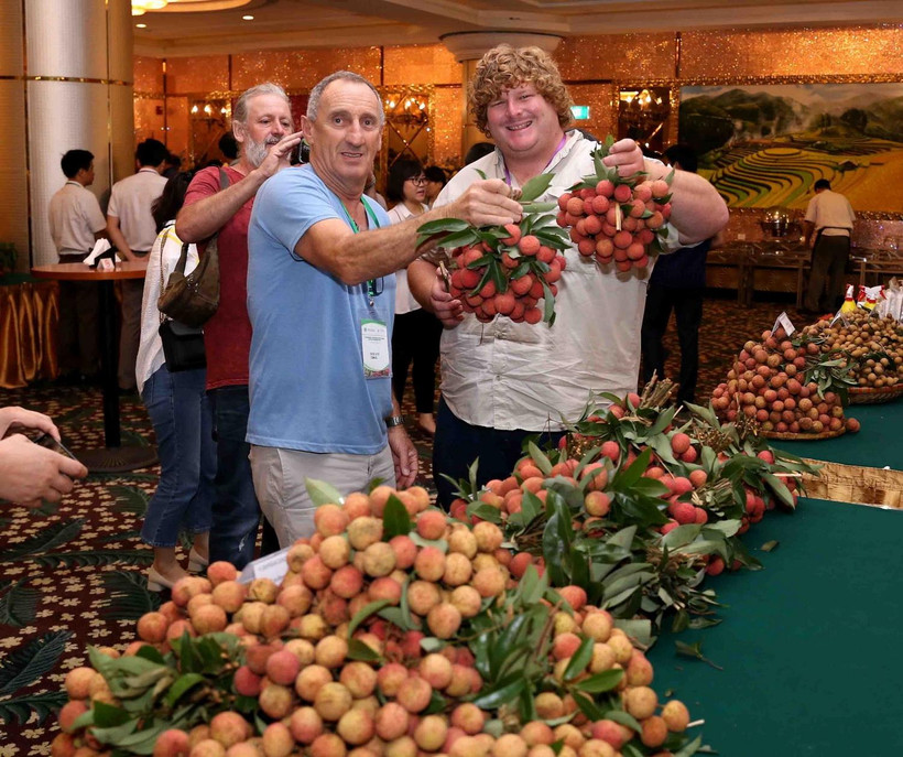 Các đại biểu tham quan gian hàng trưng bày vải thiều tại Hội nghị. (Ảnh: Vũ Sinh/TTXVN)