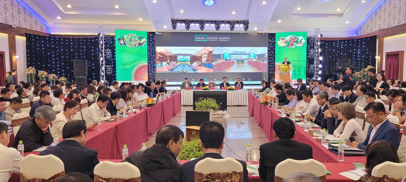 Quang cảnh Hội nghị. (Ảnh: Hoài Nam/TTXVN)