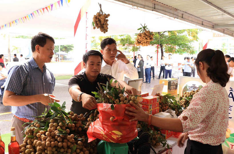 Người dân mua nhãn lồng Hưng Yên. (Ảnh: Đinh Tuấn/TTXVN)