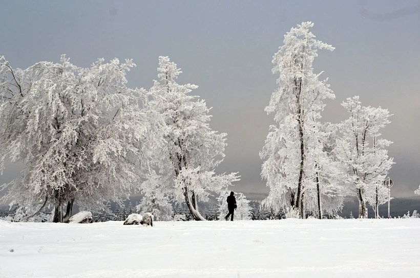 Tuyết phủ trắng xóa trên núi Kahler Asten ở gần Winterberg, Đức. (Ảnh: AFP/TTXVN)