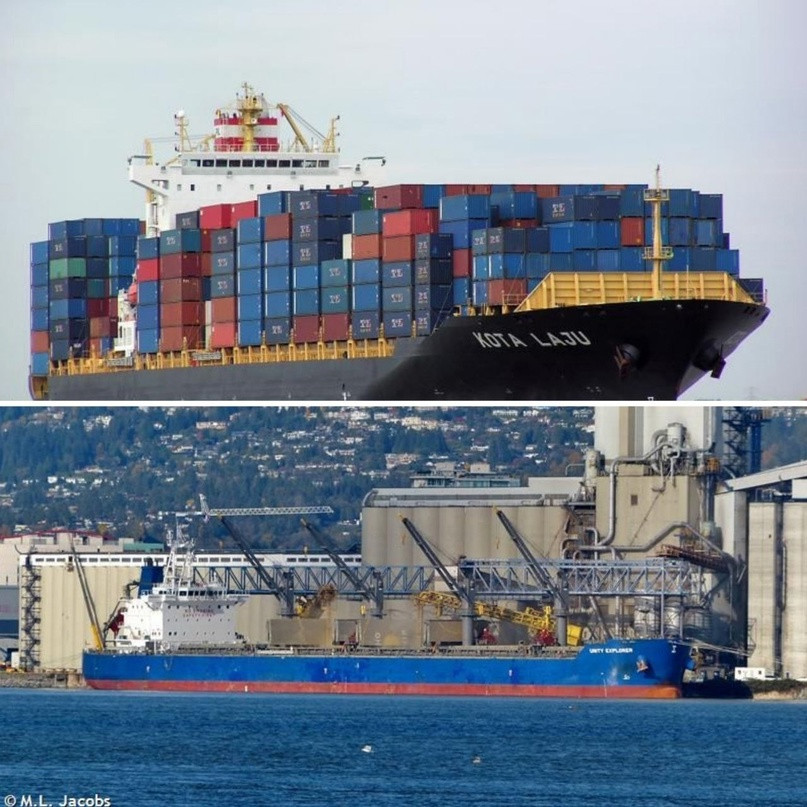 Hai tàu thương mại là mục tiêu tấn công của các tay súng Houthi. (Nguồn: X)