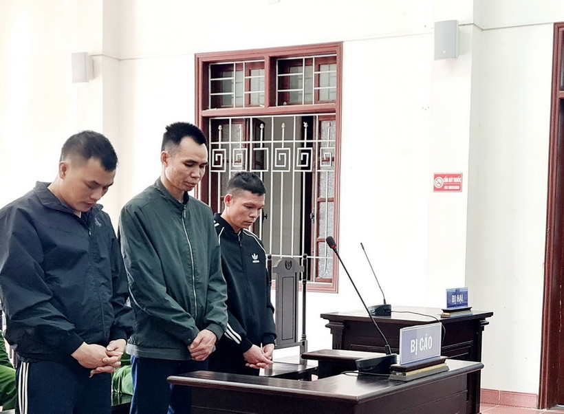 Cả 3 bị cáo tại phiên tòa xét xử. (Ảnh: Vũ Hà/TTXVN)