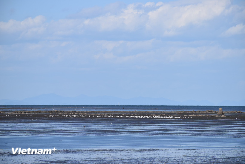 Bãi bồi Nakatsu, trải dài khoảng 10km từ Đông sang Tây và có diện tích 1.347ha. (Ảnh: Nguyễn Tuyễn-Xuân Giao/Vietnam+)