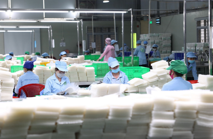 Công nhân phân loại bánh tráng của Công ty TNHH Tân Nhiên thường xuyên tăng ca. (Ảnh: Thanh Tân/TTXVN)