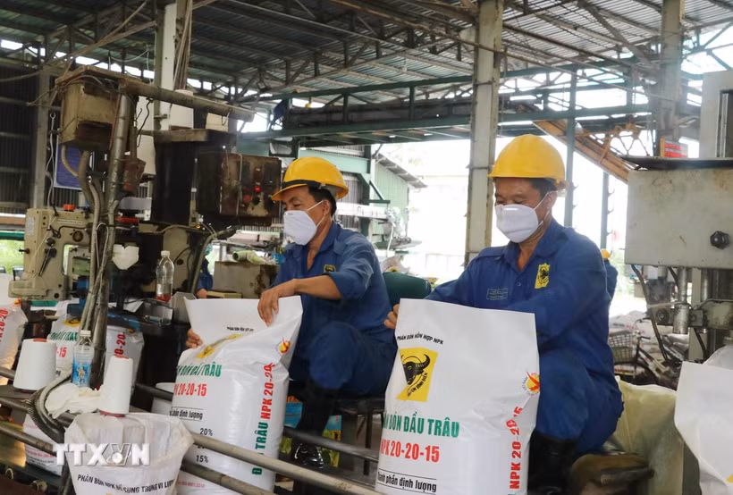 Công nhân đóng gói phân bón xuất khẩu. (Nguồn: TTXVN)