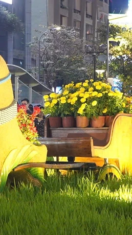 Người dân TP Hồ Chí Minh nô nức du Xuân trong không gian đường hoa Nguyễn Huệ 