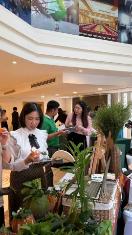 Khách tham quan tại Hội nghị quan tâm gian hàng giới thiệu du lịch y tế thông qua hình thức “chữa lành” từ các điểm du lịch tái tạo không gian Tây Bắc tại Thành phố Hồ Chí Minh. (Ảnh: PV/Vietnam+)