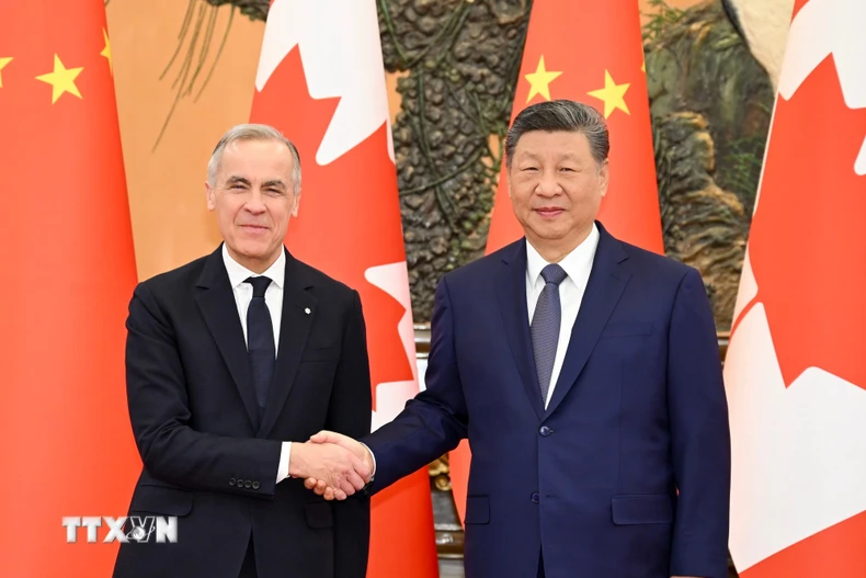 Thủ tướng Canada Mark Carney (trái) và Chủ tịch Trung Quốc Tập Cận Bình tại cuộc hội đàm ở Bắc Kinh ngày 16/1/2026. (Ảnh: THX/TTXVN)