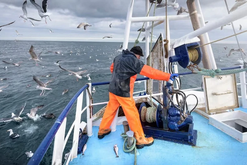 Ảnh minh họa. (Nguồn: Getty)