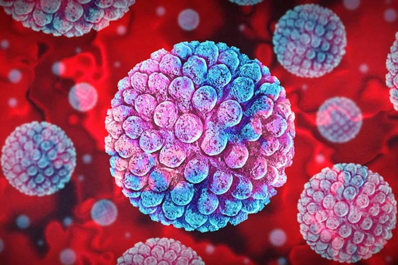 Nghiên cứu cho thấy các kháng thể phản ứng sai hướng sau khi nhiễm EBV có thể đóng một vai trò nhất định. (Nguồn: iStock)