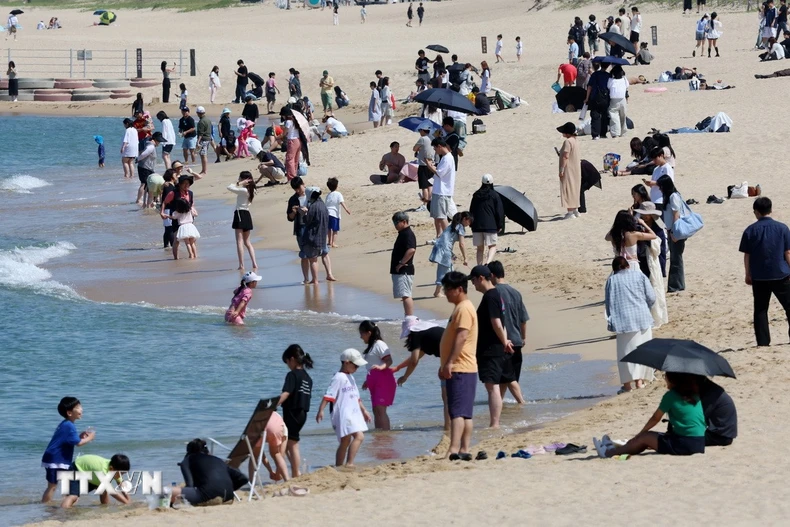 Người dân tránh nóng trên bãi biển tại Gangneung, Hàn Quốc. (Ảnh: Yonhap/TTXVN)