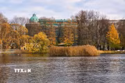Bức tranh mùa Thu vàng tại vườn Tauride ở St. Petersburg, Nga ngày 27/10/2026. (Ảnh: THX/TTXVN phát)