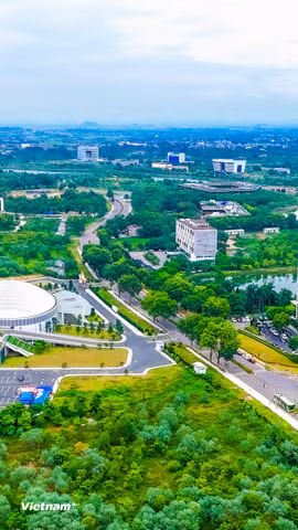 Ảnh minh hoạ. (Ảnh: Hoài Nam/Vietnam+)