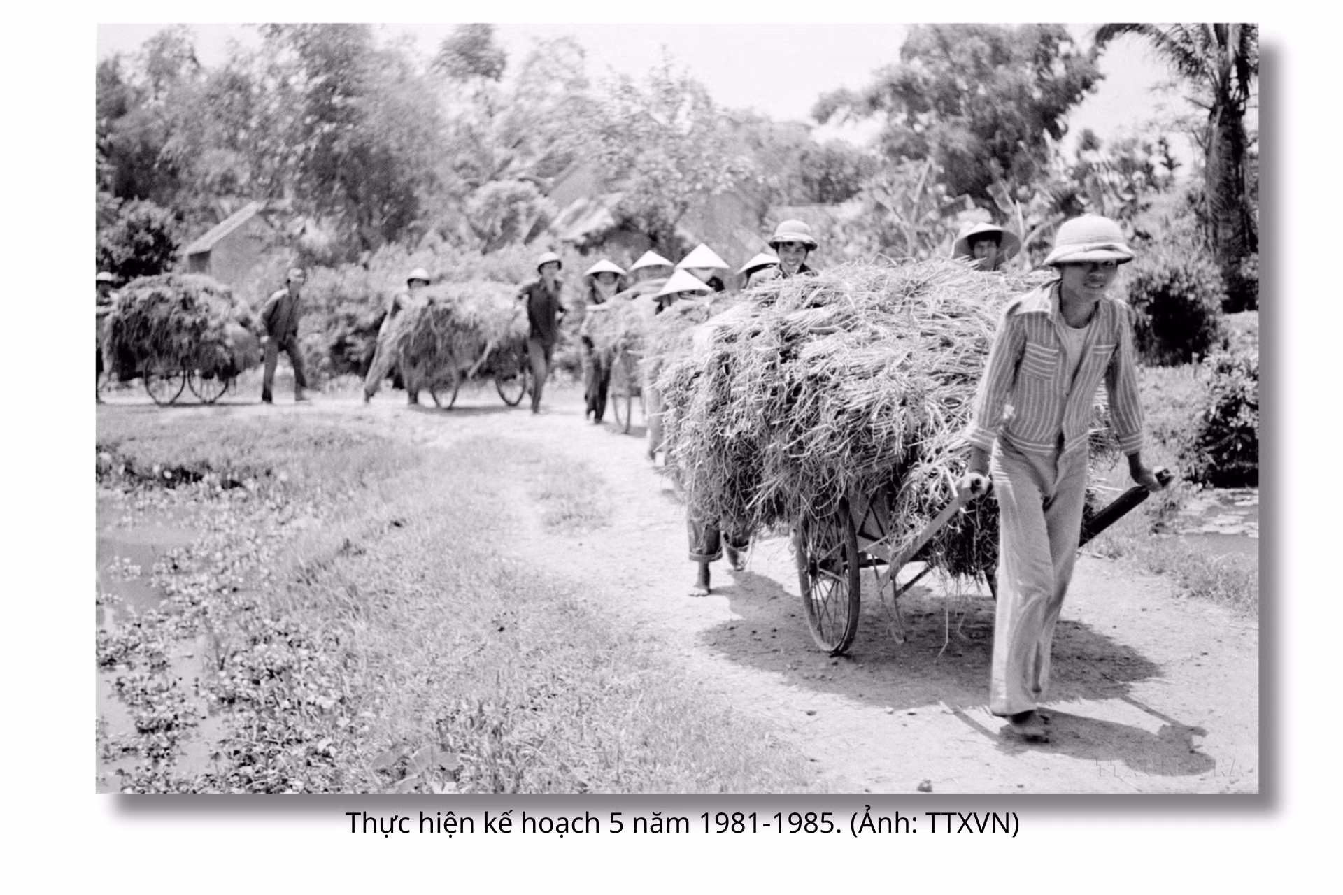 quoc-hoi-khoa-vii-6.png
