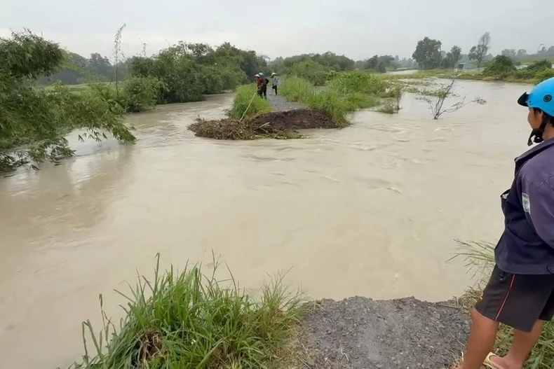 Khu vực Suối Giữa đoạn chảy qua các phường Tương Bình Hiệp, Chánh Mỹ và Hiệp Thành xảy ra tình trạng vỡ bờ bao, dòng nước tràn vào khu dân cư, gây thiệt hại về tài sản và hoa màu của hàng chục hộ dân. (Ảnh: Dương Chí Tưởng/TTXVN)