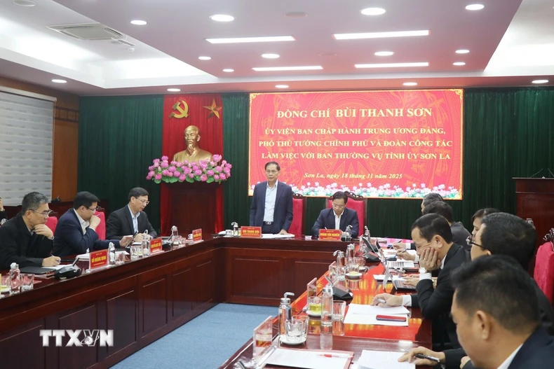 Phó Thủ tướng Chính phủ Bùi Thanh Sơn phát biểu chỉ đạo tại buổi làm việc. (Ảnh: Nguyễn Cường/TTXVN)