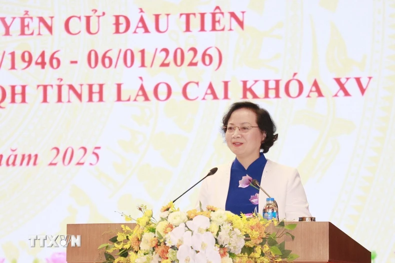 Phó Thủ tướng Phạm Thị Thanh Trà phát biểu tại buổi gặp mặt. (Ảnh: Đinh Thùy/TTXVN)