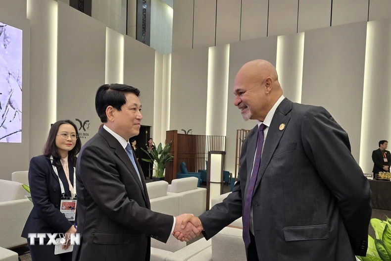 Chủ tịch nước Lương Cường gặp Phó Thủ tướng, Trưởng đoàn Papua New Guinea John Rosso. (Ảnh: TTXVN phát)