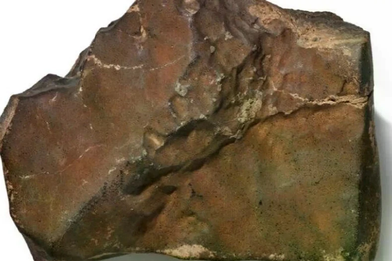 Thiên thạch có nguồn gốc từ Sao Hỏa được bán đấu giá tại New York. (Nguồn: Sputnik)