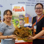 Hình minh hoạ triển lãm sản phẩm đặc trưng, tiêu biểu định hướng xuất khẩu thành phố Đà Nẵng được tổ chức tháng 4/2026. (Ảnh: Thanh Phong/Vietnam+)