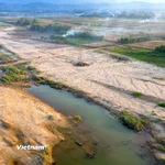 Những dải cát bồi lấp kéo dài xen dòng nước, cho thấy mức độ thiệt hại lớn của nông dân xã Gò Nổi (Đà Nẵng) sau đợt mưa lũ kéo dài ở miền Trung vừa qua. (Ảnh: Thanh Phong/Vietnam+)