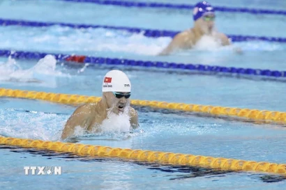 Môn bơi bước vào ngày thi đấu cuối cùng tại SEA Games 33. (Ảnh: Quý Lượng/TTXVN phát)