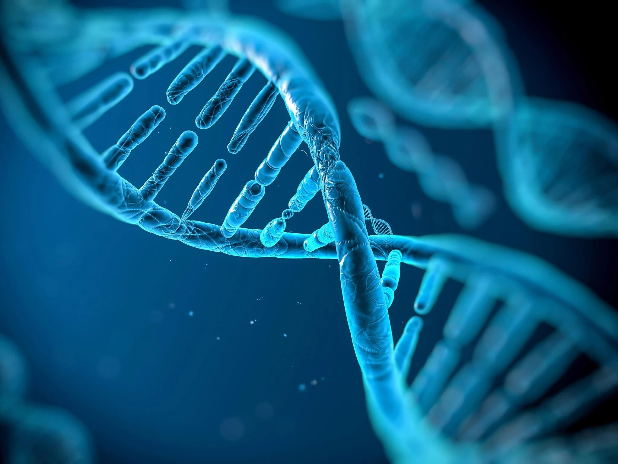 Nghiên cứu hé lộ sự khác biệt về hoạt động gene giữa tế bào não nam và nữ