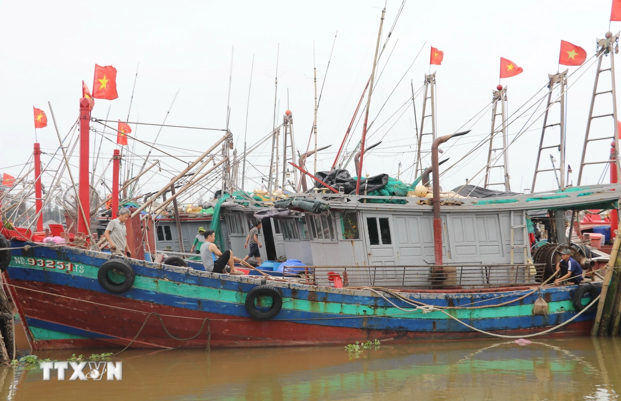 Ngư dân Ninh Bình kiên trì bám biển trước áp lực giá nhiên liệu tăng cao