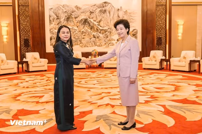 Phó Chủ tịch - Tổng Thư ký Uỷ ban Trung ương Mặt trận Tổ quốc Việt Nam Nguyễn Thị Thu Hà hội kiến với Phó Chủ tịch Chính hiệp toàn quốc Trung Quốc Hàm Huy. (Ảnh: PV/Vietnam+)