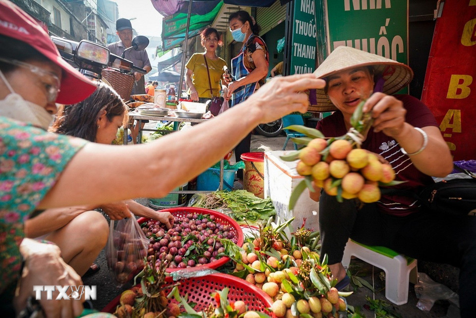 Tết Đoan Ngọ là thời điểm nhiều loại trái cây đang vào mùa vụ, nên ưu tiên những loại có vị ngọt, chua: như mận, vải... (Ảnh: Khánh Hòa/TTXVN)