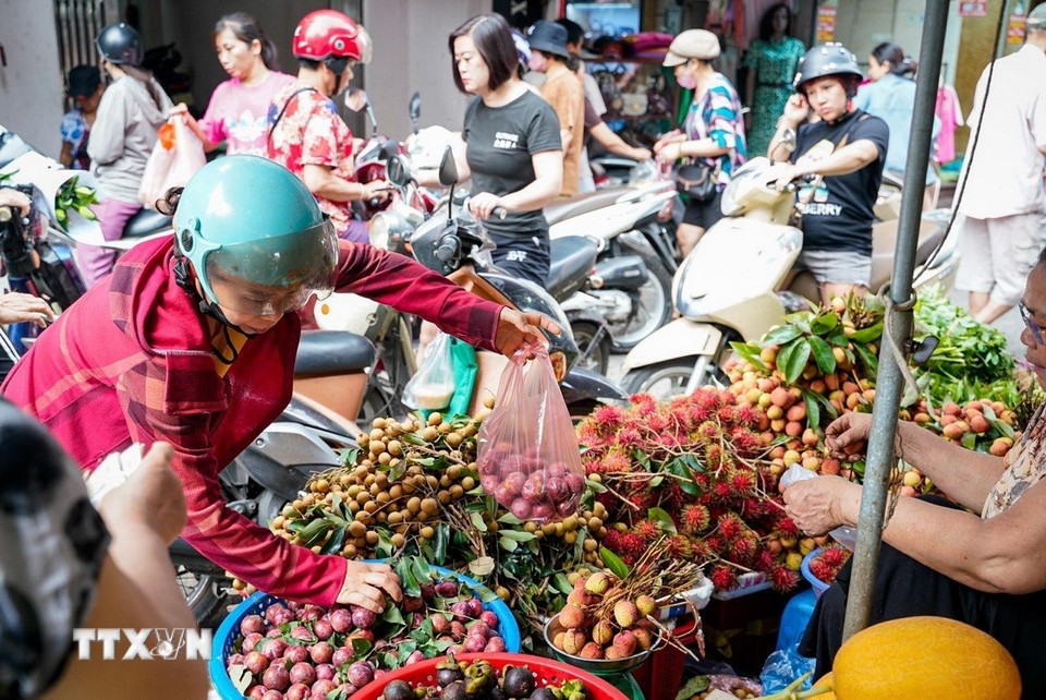 Tết Đoan Ngọ là thời điểm nhiều loại trái cây đang vào mùa vụ, nên ưu tiên những loại có vị ngọt, chua: như mận, vải... (Ảnh: Khánh Hòa/TTXVN)