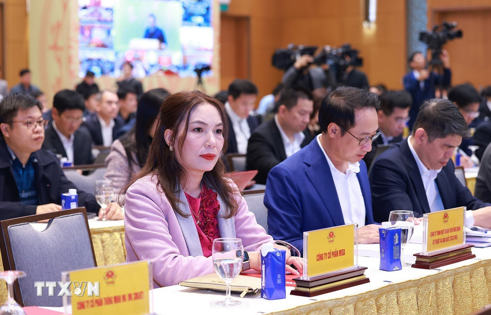 Các đại biểu tham dự Phiên họp tổng kết hoạt động của Ủy ban và Đề án 06. (Ảnh: Dương Giang/TTXVN)