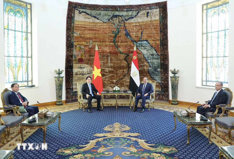 Chủ tịch nước Lương Cường và Tổng thống Ai Cập Abdel Fattah El-Sisi hội đàm hẹp. (Ảnh: Lâm Khánh/TTXVN)