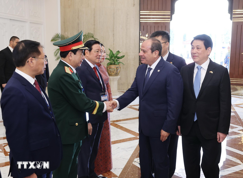 Chủ tịch nước Lương Cường giới thiệu với Tổng thống Ai Cập Abdel Fattah El-Sisi các đại biểu Việt Nam. (Ảnh: Lâm Khánh/TTXVN)