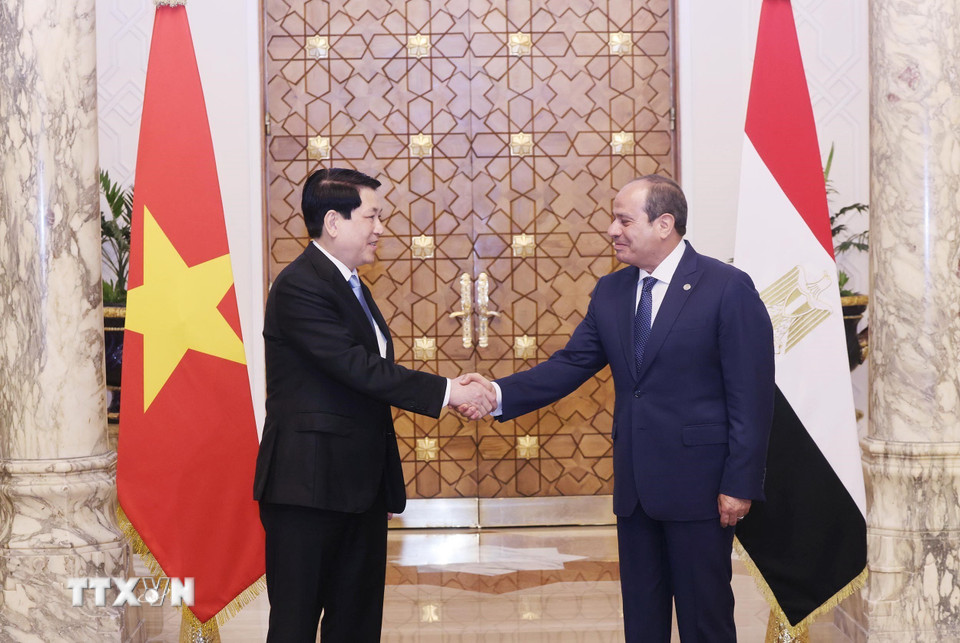 Chủ tịch nước Lương Cường và Tổng thống Ai Cập Abdel Fattah El-Sisi. (Ảnh: Lâm Khánh/TTXVN)