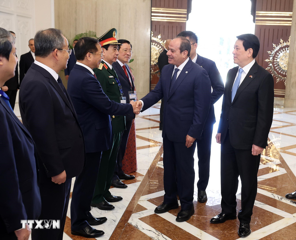 Chủ tịch nước Lương Cường giới thiệu với Tổng thống Ai Cập Abdel Fattah El-Sisi các đại biểu Việt Nam. (Ảnh: Lâm Khánh/TTXVN)