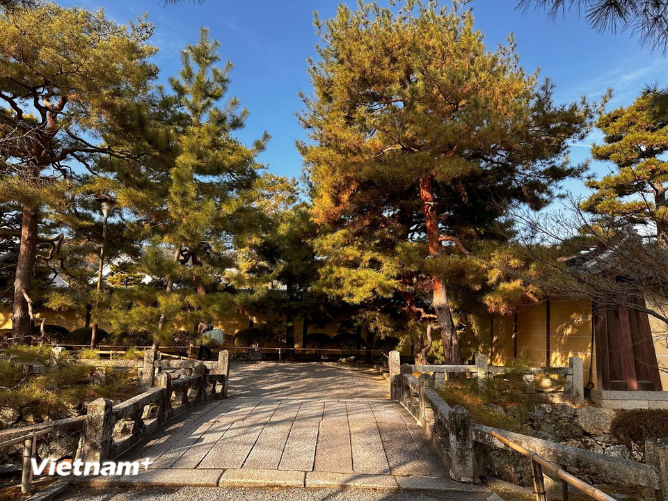 Đường vào chùa Daikakuji, ngôi chùa lớn nhất phía Bắc Kyoto, nơi cất giữ nhiều tài sản văn hóa. (Ảnh: Nguyễn Tuyến/Vietnam+)