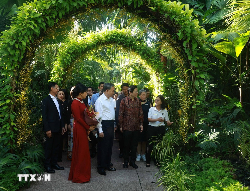 Tổng Bí thư Tô Lâm và Phu nhân cùng Thủ tướng Singapore Lawrence Wong tham quan Vườn Thực vật quốc gia Singapore. (Ảnh: Thống Nhất/TTXVN)