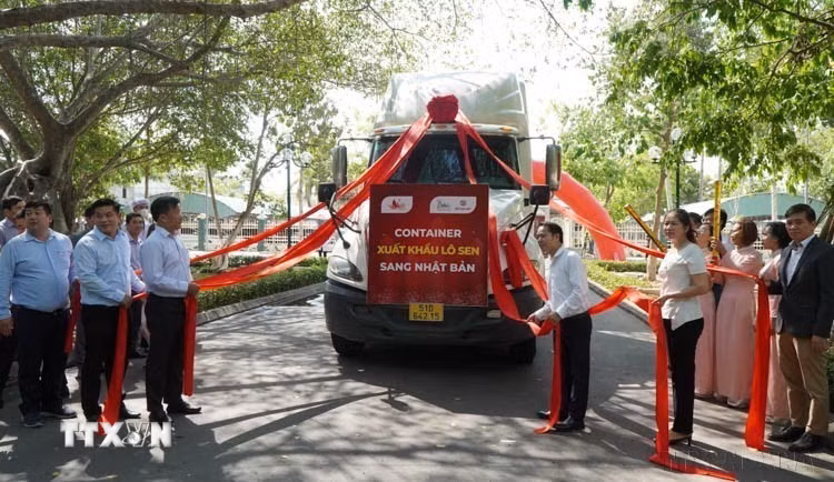 Lễ công bố xuất khẩu lô sen sang thị trường Nhật Bản, với giá trị đơn hàng gần 1 tỷ đồng do Hội Ngành hàng sen Đồng Tháp phối hợp với Công ty Cổ phần thực phẩm Sen Đại Việt tổ chức. (Ảnh: Nhựt An/TTXVN)