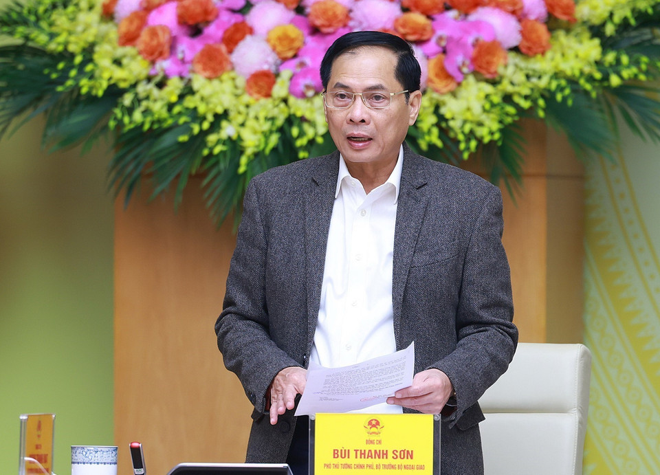 Phó Thủ tướng, Bộ trưởng Ngoại giao Bùi Thanh Sơn, Phó Trưởng Ban Thường trực Ban Chỉ đạo phát biểu. (Ảnh: Dương Giang/TTXVN)