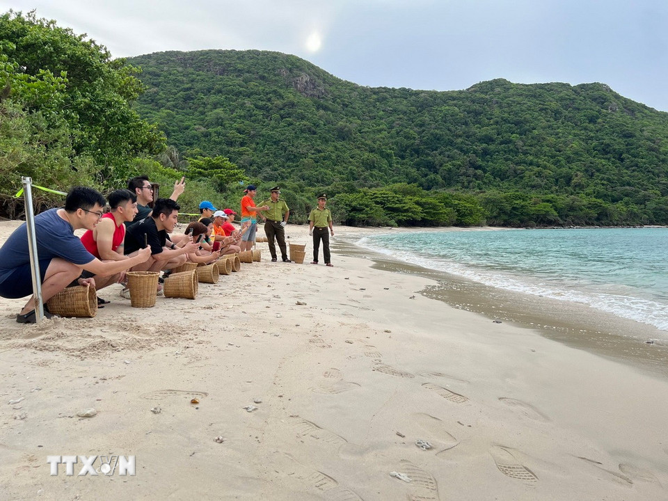 Du khách trải nghiệm tour du lịch sinh thái và trải nghiệm xem rùa đẻ trứng, thả rùa con về môi trường tự nhiên. (Ảnh: TTXVN phát)