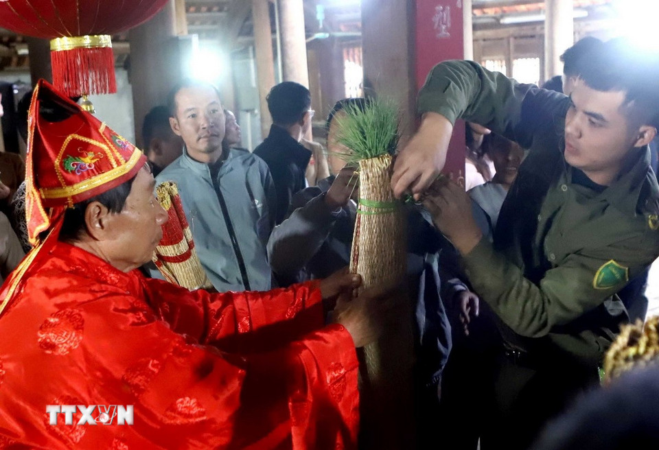 Các quan viên trùm lên người "Bụt" chiếc chiếu cói, trên đỉnh chóp là bó mạ ở chiếu giữa (chiếu quan trọng nhất, nó cũng là lý do để mọi người chờ đợi đến cuối lễ hội trong màn giành chiếu cầu con trai). (Ảnh: Hoàng Hùng/TTXVN)