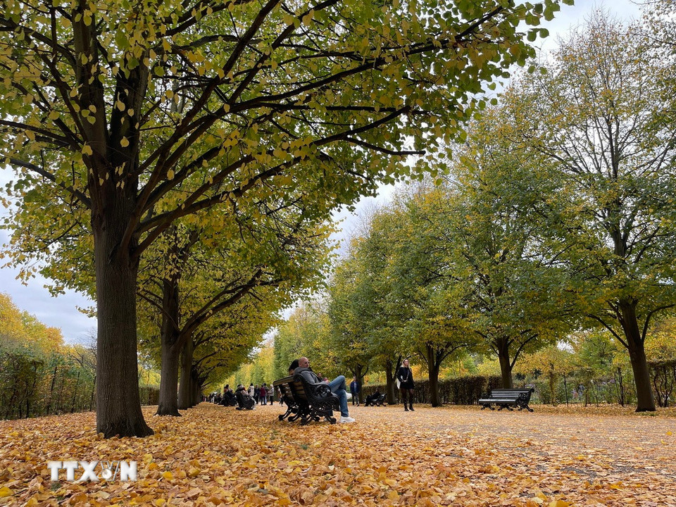 Công viên Regent’s, địa điểm ngắm Thu tuyệt đẹp ở London. (Ảnh: Minh Hợp/TTXVN)