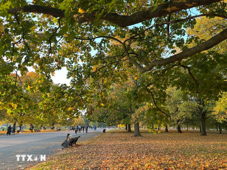 Công viên Hyde là điểm đến không thể bỏ qua với du khách đến London vào mùa Thu. (Ảnh: Minh Hợp/TTXVN)