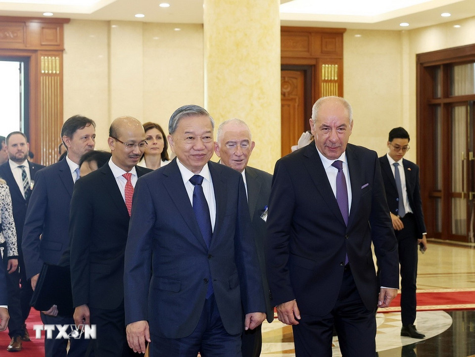 Tổng Bí thư Tô Lâm hội kiến Tổng thống Hungary Sulyok Tamas. (Ảnh: Thống Nhất/TTXVN)